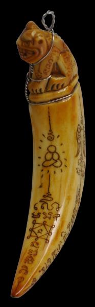 Details about   REAL PIG TOOTH Wild Boar Power Spike Amulet Fang Talisman Pendant Thai Powerful 