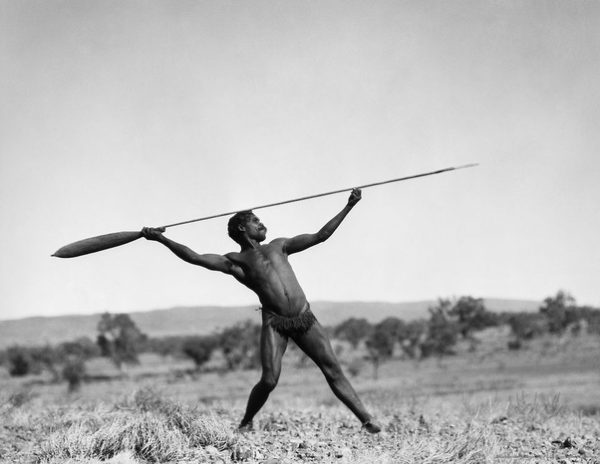 Bliv Parcel Profit Superb, Early Aboriginal Spear Thrower (Woomera) - Michael Backman Ltd